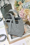 Small-sized Toujours Vertical Handbag Gray