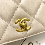 Calf Leather Single Flap Bag AS8869