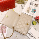 Calf Leather Single Flap Bag AS8869