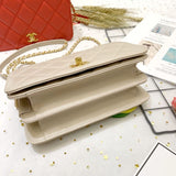 Calf Leather Single Flap Bag AS8869
