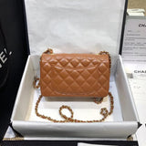 Lambskin 20cm Classic Flap Bag 1116