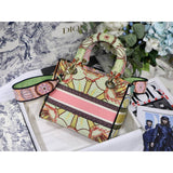 Medium Lady D-Lite Multicolor In Lights Embroidery M0565