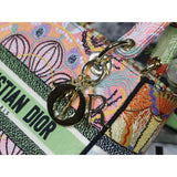 Medium Lady D-Lite Multicolor In Lights Embroidery M0565
