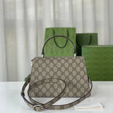 large Dionysus Top Handle Bag 739496 Taupe Suede Trim