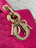 Lady Horizontal Python Bag Exclusive, Unique