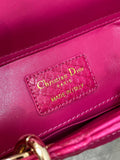 Lady Horizontal Python Bag Exclusive, Unique