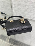 Lady   Horizontal Python Bag Exclusive & Uniquely Styled