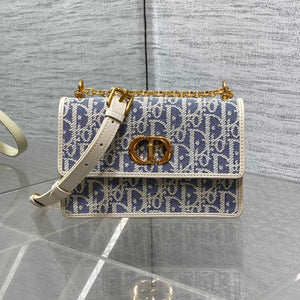 Caro Miss Montaigne New Color - Blocked Leather Chain WOC
