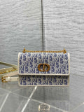 Caro Miss Montaigne New Color - Blocked Leather Chain WOC