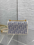 Caro Miss Montaigne New Color - Blocked Leather Chain WOC