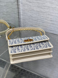 Caro Miss Montaigne New Color - Blocked Leather Chain WOC