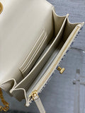 Caro Miss Montaigne New Color - Blocked Leather Chain WOC