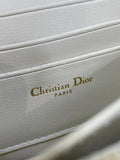 Caro Miss Montaigne New Color - Blocked Leather Chain WOC
