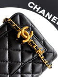 25B Double C Buckle Square Chain Bag