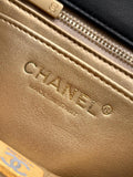 25B Double C Buckle Square Chain Bag